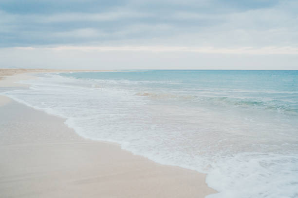 istock Peaceful and calm beach on a cloudy windy day 1220451822