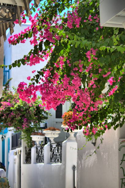 istock Urban scenic of Mykonos 1220452917