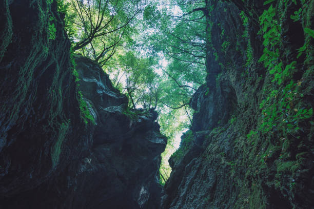 istock Piece of Kozjak waterfall 1220455181