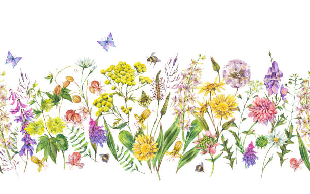 istock Watercolor summer meadow flowers, wildflowers seamless border. 1220455233