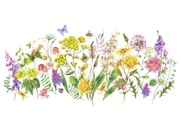 istock Watercolor summer meadow flowers, wildflowers greeting card. 1220455249