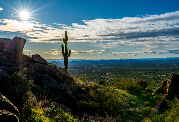 View of Phoenix Arizona from Pinnacle Peak