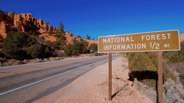 istock The Red Canyon in Utah 1220460660
