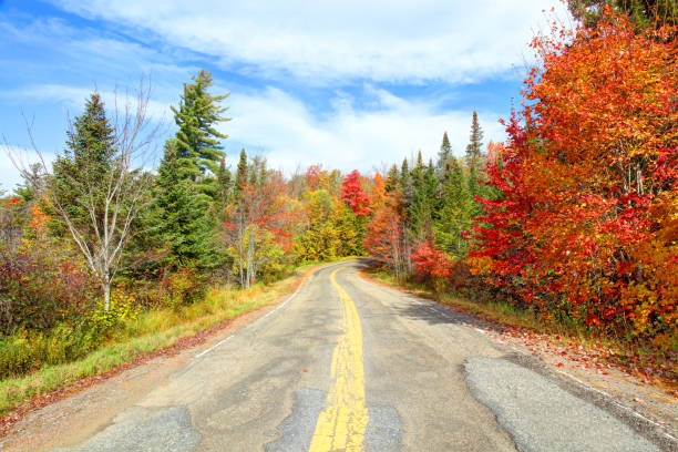 istock Autumn road in the Adirondacks 1220460669