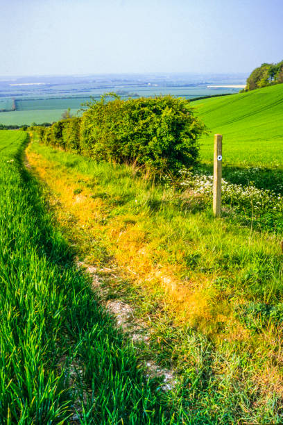 istock Generic path footpath rolling landscape walking hiking rambling trekking fitness exercise English Midlands UK sunlight lush green agricultural land farmland english home counties pegston hills bedfordshire 1220460720