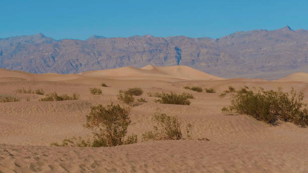 istock Death Valley National Park - the Mesquite Sand Dunes 1220460770