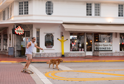 In Miami Beach, United States a man skateboarding with a dog on Ocean Drive in South Beach passes a Fridays chain restaurant with a large “Open for Business” sign posted in the window during the Coronavirus pandemic