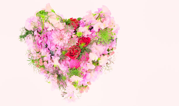 istock Flower arrangement : Rose, Sweet pea, Ranunculus, Scabiosa,  Coco Casino Pink, Hydrangea, Mimosa ‘Purpurea’, Eucalyptus, Ammi visnaga 'Green Mist' 1220463310