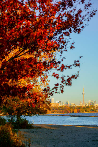 istock View of Toronto Cityscape during sunset 1220464368