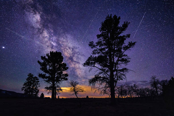 lyrid meteor shower - lluvia de meteoritos fotografías e imágenes de stock