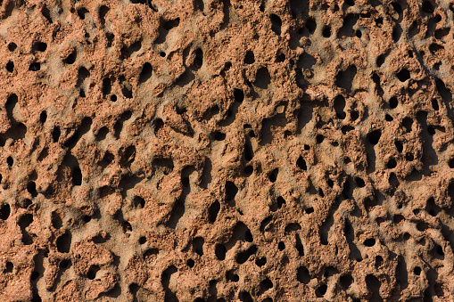 An open anthill colony tunneling complex full frame texture, Rustenburg, South Africa