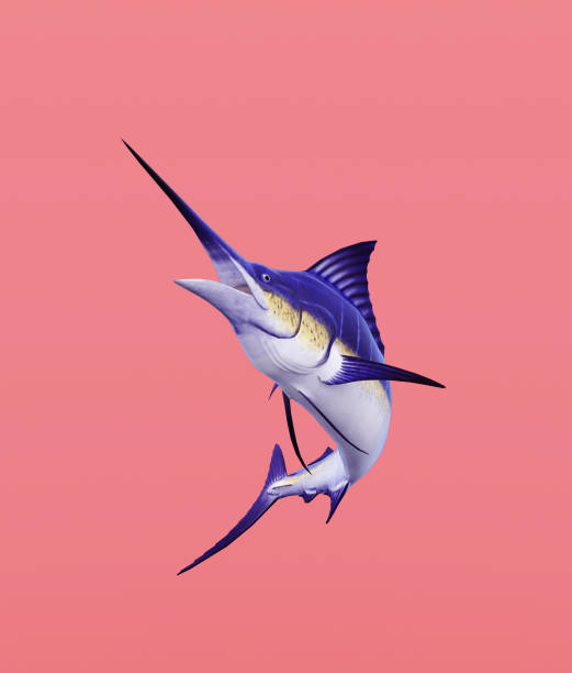 istock Marlin fish on pastel color background,minimal style conceptual background,3d rendering 1220473978