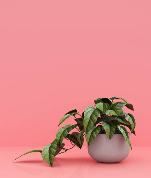 istock Pot plant on pastel color background,minimal style conceptual background,3d rendering 1220474029