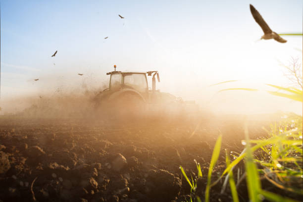 Tractor on a dry field Tractor on a dry field field stubble stock pictures, royalty-free photos & images