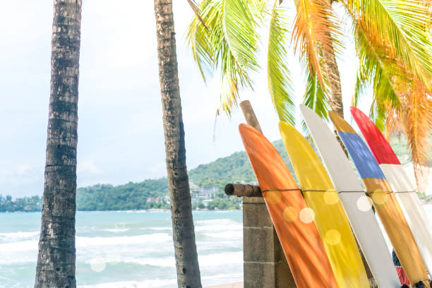 istock Many surfboards beside coconut trees at summer beach with sun light and blue sky background. 1220479624