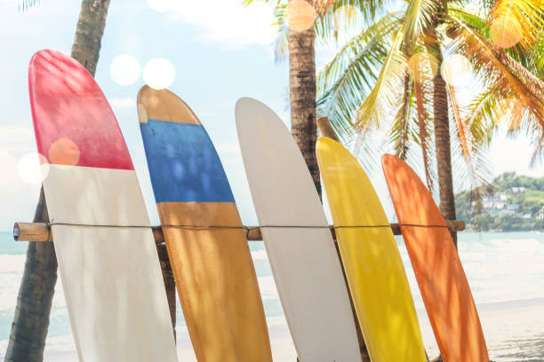 istock Many surfboards beside coconut trees at summer beach with sun light and blue sky background. 1220479627
