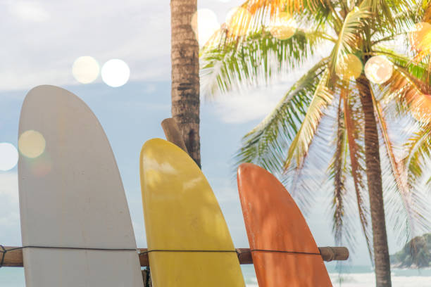 istock Many surfboards beside coconut trees at summer beach with sun light and blue sky background. 1220479633