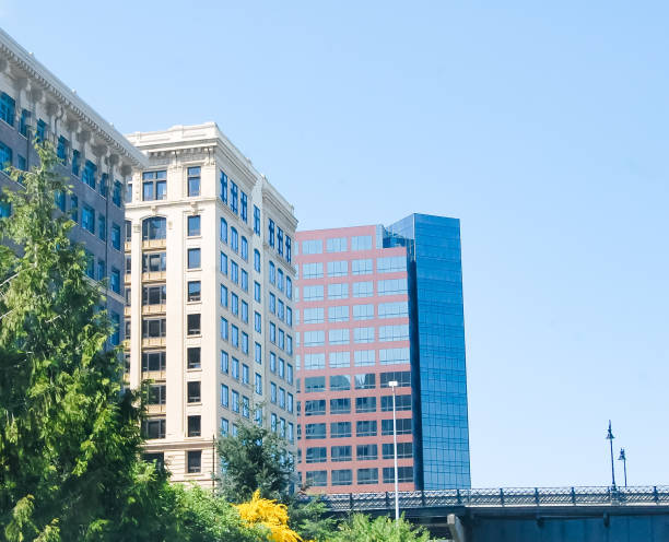 istock Tacoma, Washington Apartment Life 1220480463
