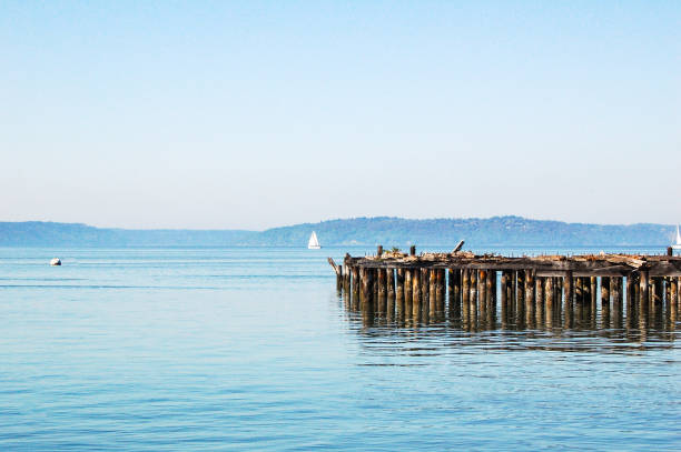 istock Schuster Parkway - Old Pier In Tacoma, Washington 1220480468
