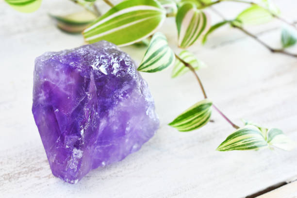 istock Amethyst Crystal and Lush Green Plant Close Up 1220482362