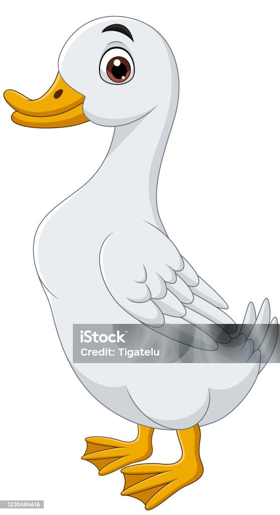 Cartoon Duck Isolated On White Background Stock Illustration - Download  Image Now - Duck - Bird, Foot, Goose - Bird - iStock
