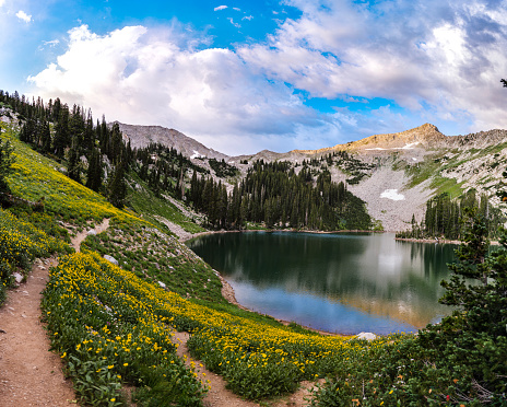 Alpine Mountain Lake - Summer view at high-altitude lake surrounded by high peaks.