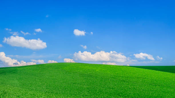 istock Panoramic spring landscape XXXXL 54 MPix - green field, blue sky 1220492179