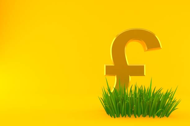 funt waluty na trawie - pound symbol environment grass currency zdjęcia i obrazy z banku zdjęć