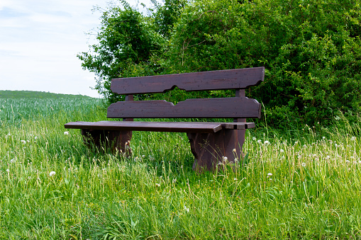 view on a park bench in the open field with a green atmosphere in nature