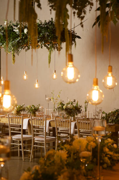 Hanging Garden and Light Bulbs Wedding Reception Hanging Garden and Light Bulbs Wedding Reception light bulb filament photos stock pictures, royalty-free photos & images