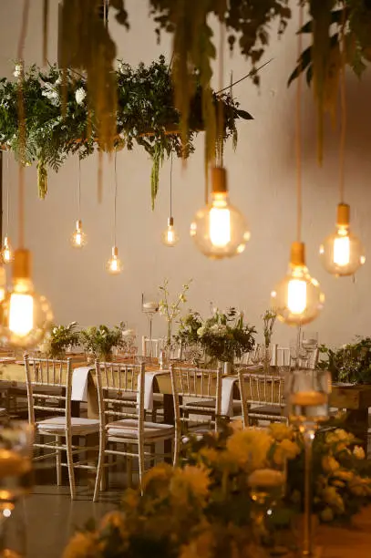 Photo of Hanging Garden and Light Bulbs Wedding Reception