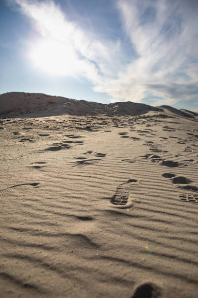 istock view of people steps at sand. hot desert. close up 1220504094