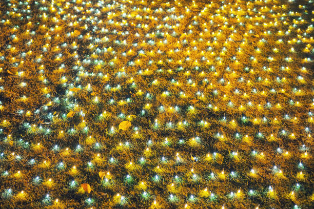istock LED light string placed on the ground  making backyard more lightful for greeting season. 1220508071