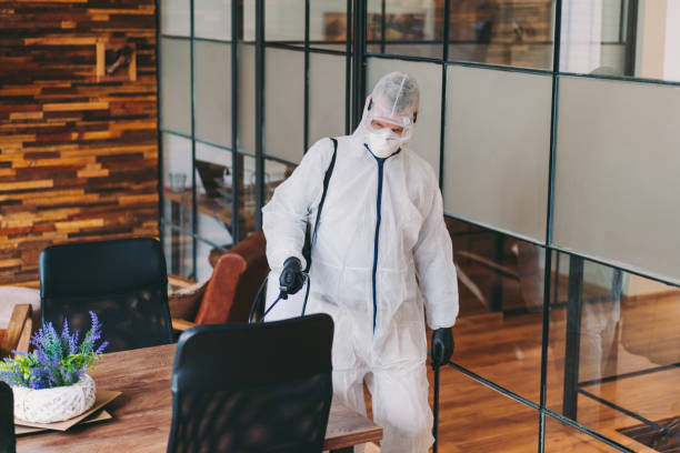 istock Office disinfection during COVID-19 pandemic 1220510405