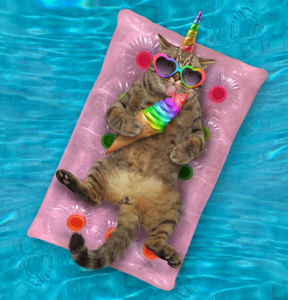 istock Caticorn eats ice cream on air bed 1220515178