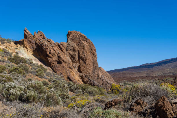 istock Mountains and shrubs near the volcano Teide, partially covered with clouds. Bright blue sky. Teide National Park, Tenerife, Canary Islands, Spain. Height 2100 meters. 1220517185