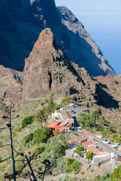 istock View of the mountains and the gorge mask. 1220518657