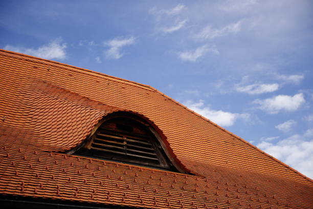 Polarizing filter, pitched roof, pitched roof, beaver tile, beaver tail roof tile,