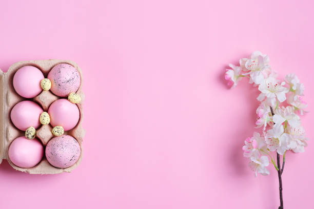 istock Festive Easter frame from paper box of handmade pink painted eggs and with a sprig of blooming cherry on a same color background. 1220520130