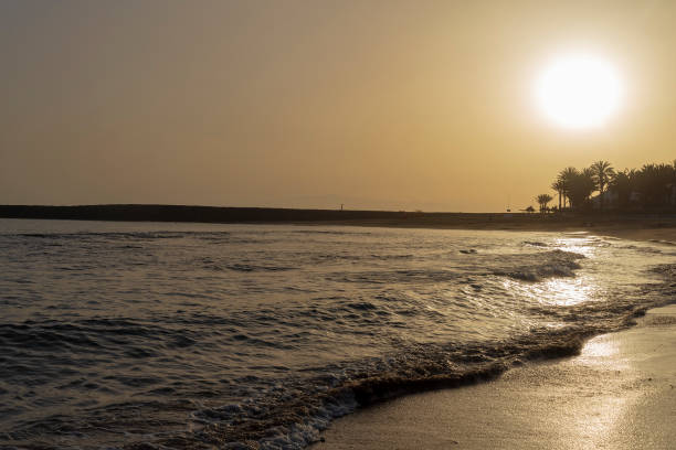 istock Sand beach in Tenerife at sunset on a summer day. 1220520200