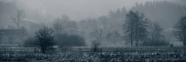istock foggy cloudy morning in the countryside. 1220520312