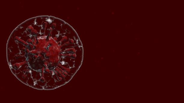 istock coronavirus (COVID-19) in air bubble floating around with other particles.  Background virus cells 3D Rendering. with Copy space 1220521131