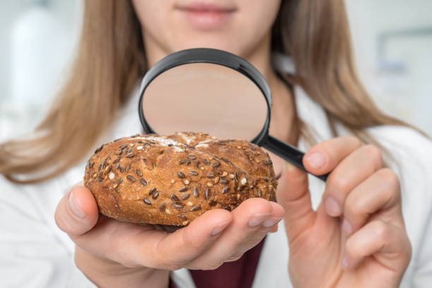 istock Scientist examines a kaiser bun with magnifying glass 1220521263