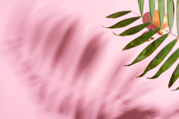 istock Creative background with painted Easter chicken and quail eggs and big shadows from tropical exotic green twig on a pastel pink background. 1220521890