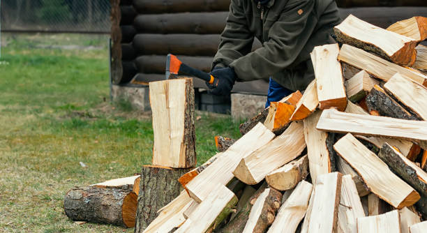 istock Ax in hands on a background of dry firewood 1220524803