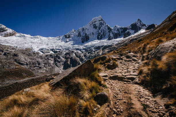 montanha de neve alta de taulliraju e caminho cercado por grama em primeiro plano, na quebrada santa cruz no peru - mountain peru cordillera blanca mountain range - fotografias e filmes do acervo