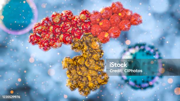 Antibody Sars Cov2 Immune Response Immunotherapy Concept With Immunoglobulins Antiviral Response Antibody Covid19 Stock Photo - Download Image Now