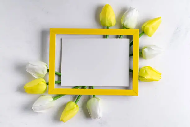 YellowTulips with blank picture frame on white marble background, copy space