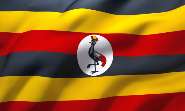 Flag of Uganda blowing in the wind. Full page Ugandan flying flag. 3D illustration.