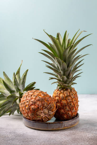 istock Two whole pineapples on pastel blue background. Copy space. 1220533342